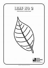 Coloring Pages Simple Leaf Easy Cool Kids Print sketch template