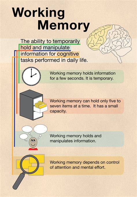 a piece about your memory working memory school psychology