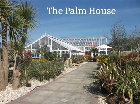 palm house love weymouth tourist information  guide