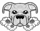 Coloring Dog Pages Adults Adult Puppy Mandala Printable Colouring Color Books Pitbull Sheets Kids Cute Animals Animal Print Sugar Getdrawings sketch template