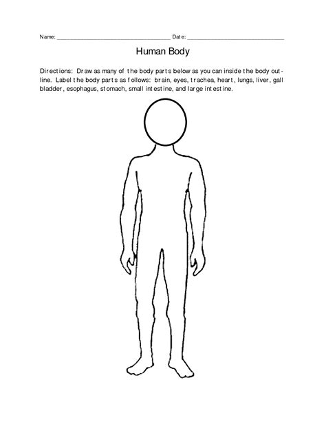 human body diagram  kids human anatomy