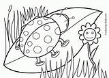 Coloring Spring Pages Toddlers Preschool Popular sketch template