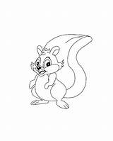 Coloring Animals Pages Squirrels Forrest Scoiattolo Woodland Baby Disegni Immagini Print Template sketch template
