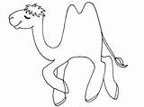 Camel Coloring Pages Printable Preschool Clipart Library Students sketch template
