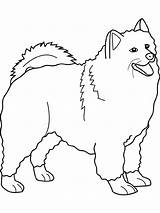 Coloring Samoyed Dog Pages Dogs Kids Color Printable Drawing Printables Scottie Designlooter Bing Colouring Pattern Getdrawings Drawings Print 720px 24kb sketch template