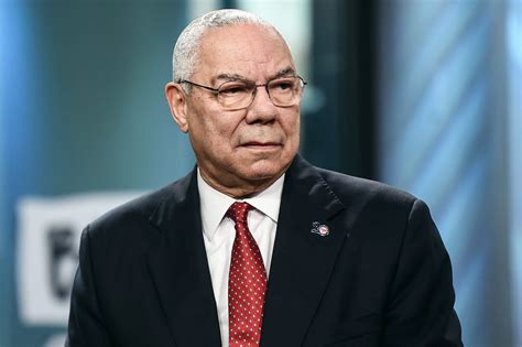 colin powell booking agent colin powell high resolution stock