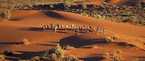 Amazing Facts You Need To Know About The Kalahari Desert In Africa