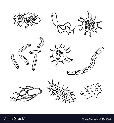 Different Bacteria Types Royalty Free Vector Image