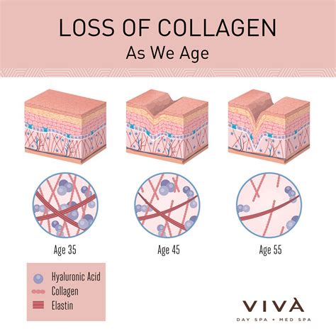 collagen boosting treatments products viva day spa med spa