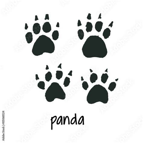 world wildlife day panda foot step buy  stock vector  explore