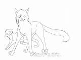 Coloring Cat Tabby Pages Warrior Cats Print Getcolorings Getdrawings sketch template