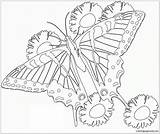 Mandala Pages Butterfly Coloring Color sketch template