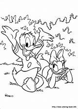 Coloring Pages Daisy Disney Donald sketch template