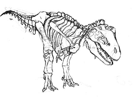 tyrannosaurus rex bones coloring page educative printable coloring