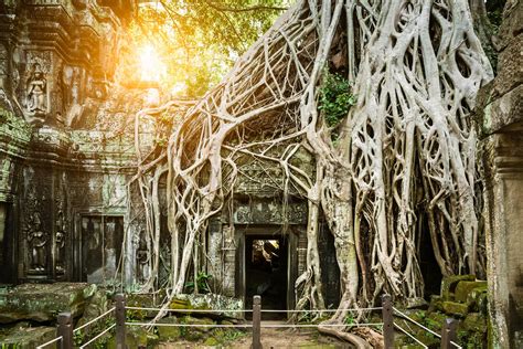 die tempelanlage angkor wat  kambodscha urlaubsgurude
