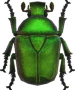 drone beetle animal crossing wiki nookipedia