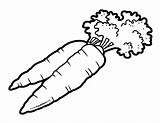 Carrot Carrots Foodhero Zanahorias Blackline sketch template