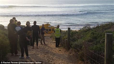 west australian beach sees great white shark found dead