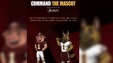 commanders clash  hogs   mascot possibilities trademark nbc washington