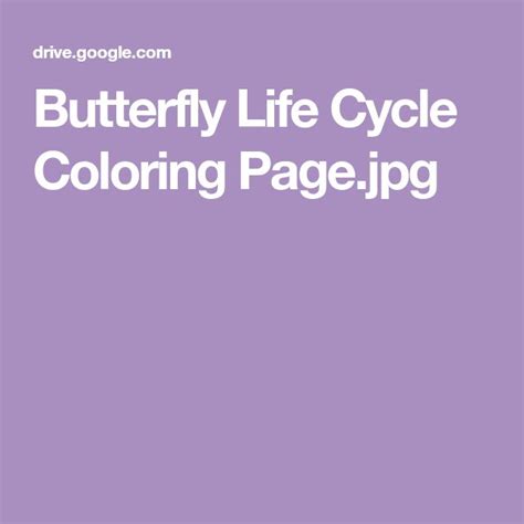 butterfly life cycle coloring pagejpg butterfly life cycle life