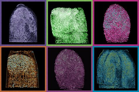 nist releases data   measure accuracy  biometric identification