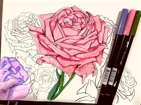 rose coloring page flower coloring page