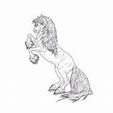 Rearing Stallion Lines sketch template