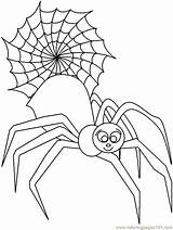 Coloring Spider sketch template
