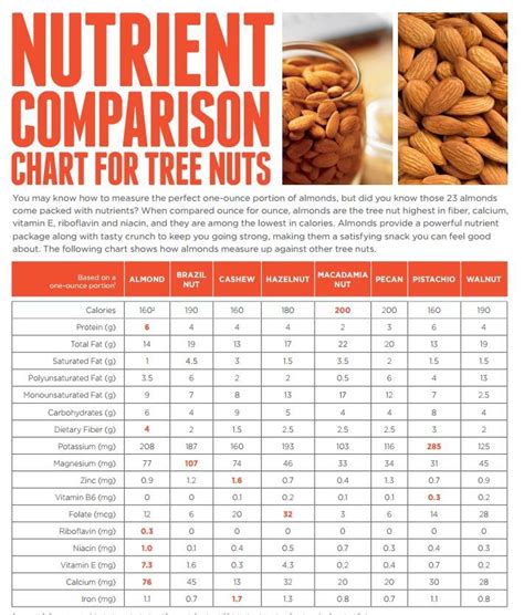 tree nut comparison chart    favorite nut rank almond