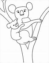 Koala Coloring Pages Kids Printable Coloringbay sketch template