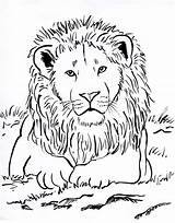 Lion Drawing Shapes Lines Coloring Head Paws Ovals Circle Legs Its sketch template