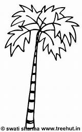 Palm Tree Coloring Pages Trees Sabal Kids Template Sharma Swati sketch template