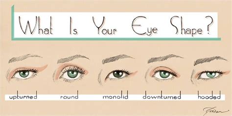 knowing correct tips   eye shape types  eye shapes types  eyes eye shape makeup
