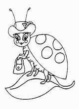 Ladybug Colorat Buburuza Buburuze Mariquita Joaninha Planse Dona Desene Bug Mariquitas Lady Animale P16 Desen Insecte Imagini Comfree Oodles Copii sketch template
