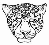 Jaguar Coloriage Colorier Animaux Masque Coloriages Carnaval Mask Maternelle Mascaras Masky Modeste Masques Enregistrée sketch template