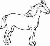 Coloring Baby Pages Horse Printable Color Kids Horses Getcolorings Print sketch template