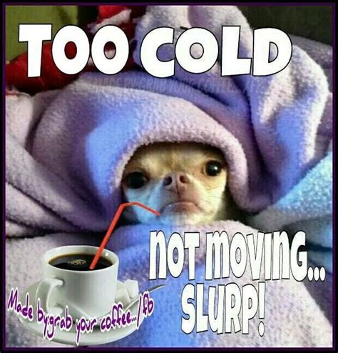 Pin By Sarah On Coffee Cold Weather Funny Morning Quotes Funny