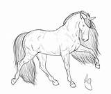 Horse Realistic Drawing Horses Head Coloring Draw Getdrawings Step sketch template
