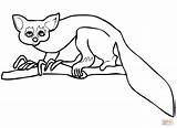Lemur Aye sketch template