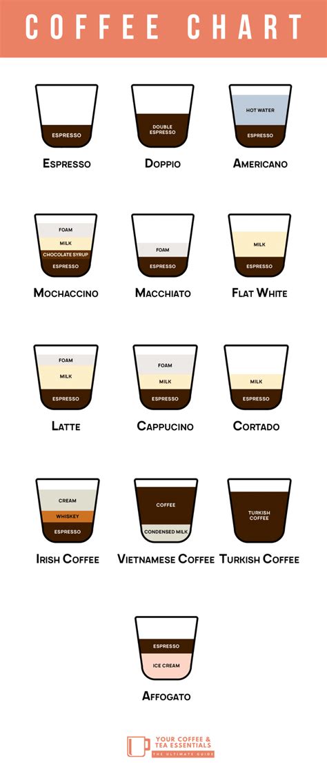 popular types  coffee  definitive guide