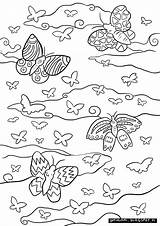 Perhoset Värityskuva Butterflies Värityskuvat Coloring Optimimmi Täällä Quality  High sketch template