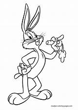 Looney Tunes Coloring Pages Printable Color Print Book sketch template