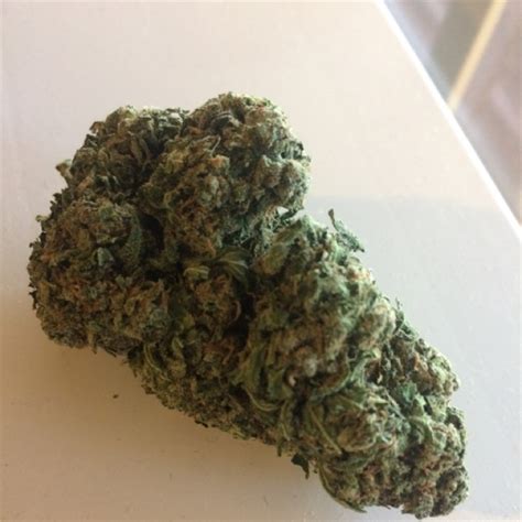 big bud marijuana strain buy marijuana  buy weed
