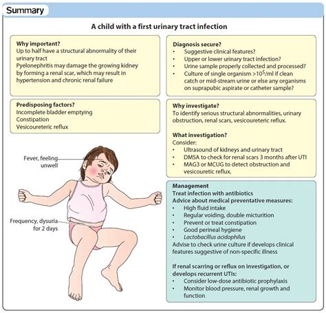 evaluation   child    urinary tract infection  grepmed