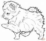 Coloring Pomeranian Pages Puppy Dog Printable Drawing sketch template