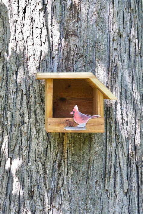 northern cardinal cedar bird house etsy bird house cardinal bird house northern cardinal