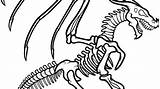 Coloring Pages Skeleton Dinosaur Bones Jack Dry Getdrawings Printable Drawing Scorpion Realistic Clipartmag Getcolorings Preschoolers Pa sketch template