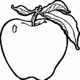 Coloring Pages Fruit Apple Students Printable Coloringtop Via sketch template