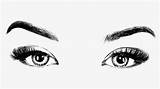 Eyebrows Eyebrow Clipart Brows Eyelash Clipartkey Kindpng 67kb sketch template