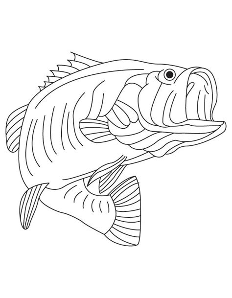 bass fish coloring pages printable coloring pages